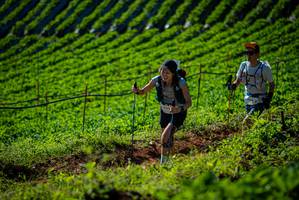 BIB: 
                            <button type="button" onclick="openModal(19160752)" class="btn btn-primary btn-sm float-right btn-popup" data-toggle="modal" data-target=".modal-high-quality">
                        <i class="fas fa-shopping-cart"></i> Add to Cart
                    </button>
                                            <button type="button" onclick="isThisMe(19160752, true)" class="btn btn-success btn-sm float-right btn-popup btn-isme hidden" data-toggle="tooltip" data-placement="bottom" title="นี่คือรูปของคุณใช่ไหม คลิกที่นี่เพื่อเอาเข้าอัลบั้ม">
                        <i class="fas fa-plus"></i> Add to album
                    </button>
                    <button type="button" onclick="isThisMe(19160752, false)" class="btn btn-warning btn-sm float-right btn-popup btn-isnotme hidden">
                        <i class="fas fa-ban"></i> Remove from album
                    </button>